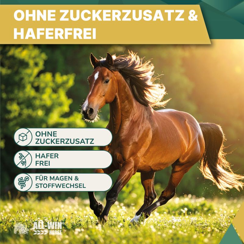 ALL-WIN Horse Golden Years 15kg Müsli, haferfrei, ohne Zuckerzusatz