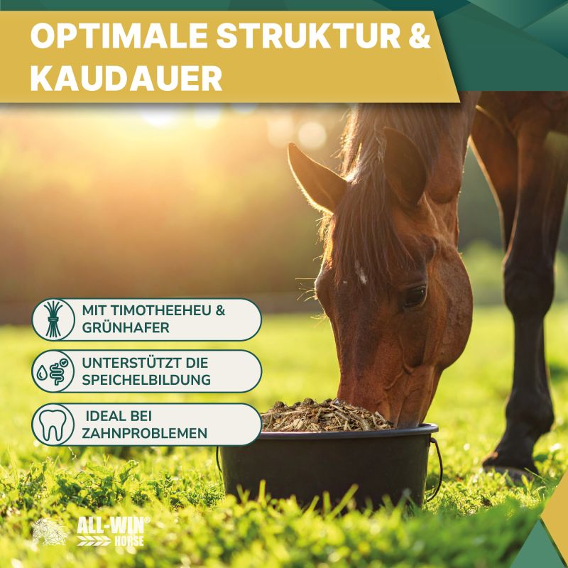 ALL-WIN Horse Golden Years 15kg Müsli, haferfrei, ohne Zuckerzusatz