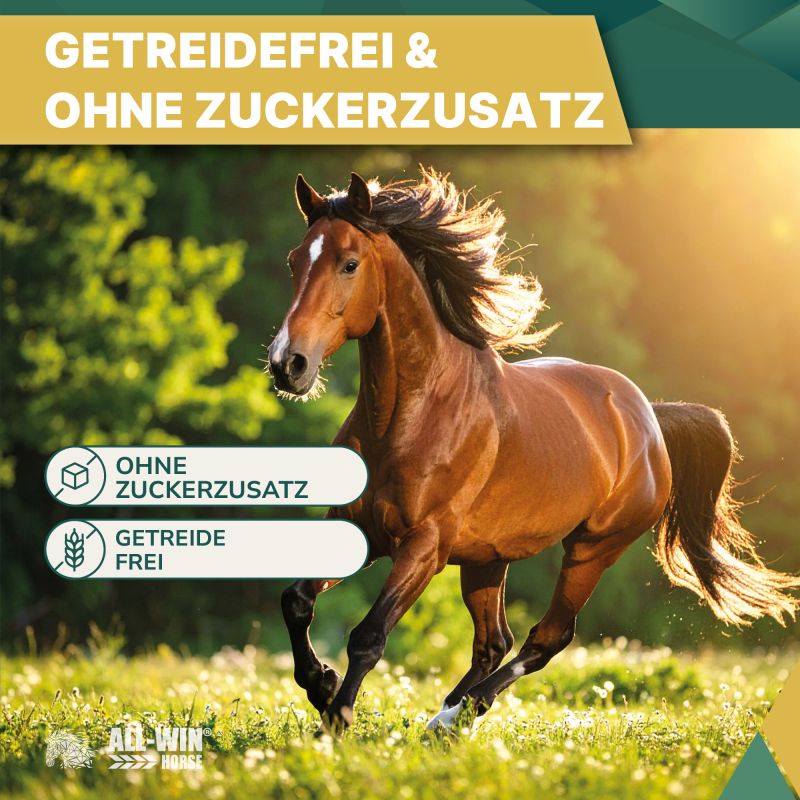 ALL-WIN Horse Hay Time 24/7 12kg Heumix, getreidefrei, ohne Zuckerzusatz