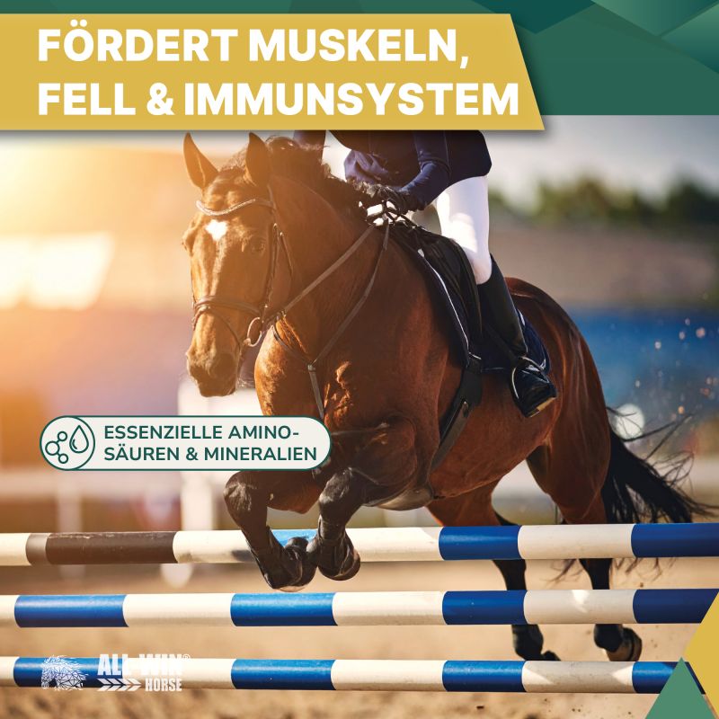 ALL-WIN Horse Hay Time 24/7 12kg Heumix, getreidefrei, ohne Zuckerzusatz