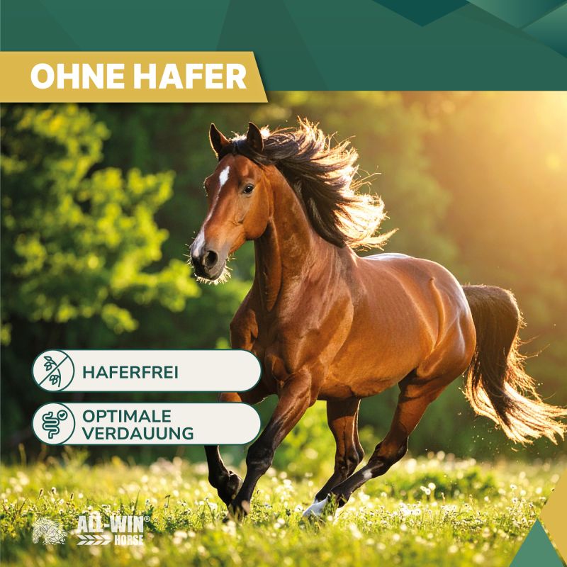 ALL-WIN Horse Meal Deal 15kg Müsli, haferfrei, ohne Zuckerzusatz