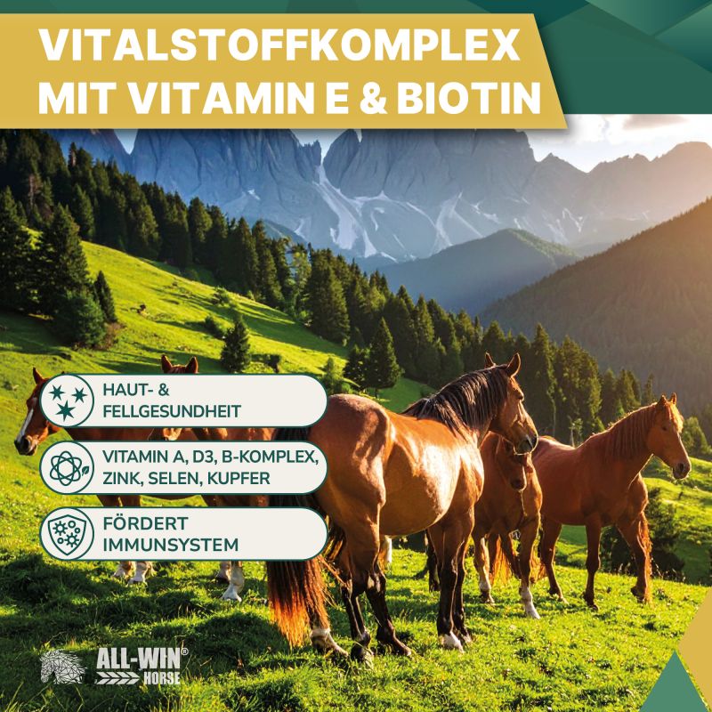 ALL-WIN Horse Meal Deal 15kg Müsli, haferfrei, ohne Zuckerzusatz