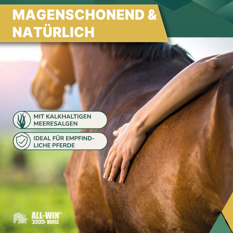 ALL-WIN Horse Mucosal Care 15kg Müsli, getreiderfrei, ohne Zuckerzusatz