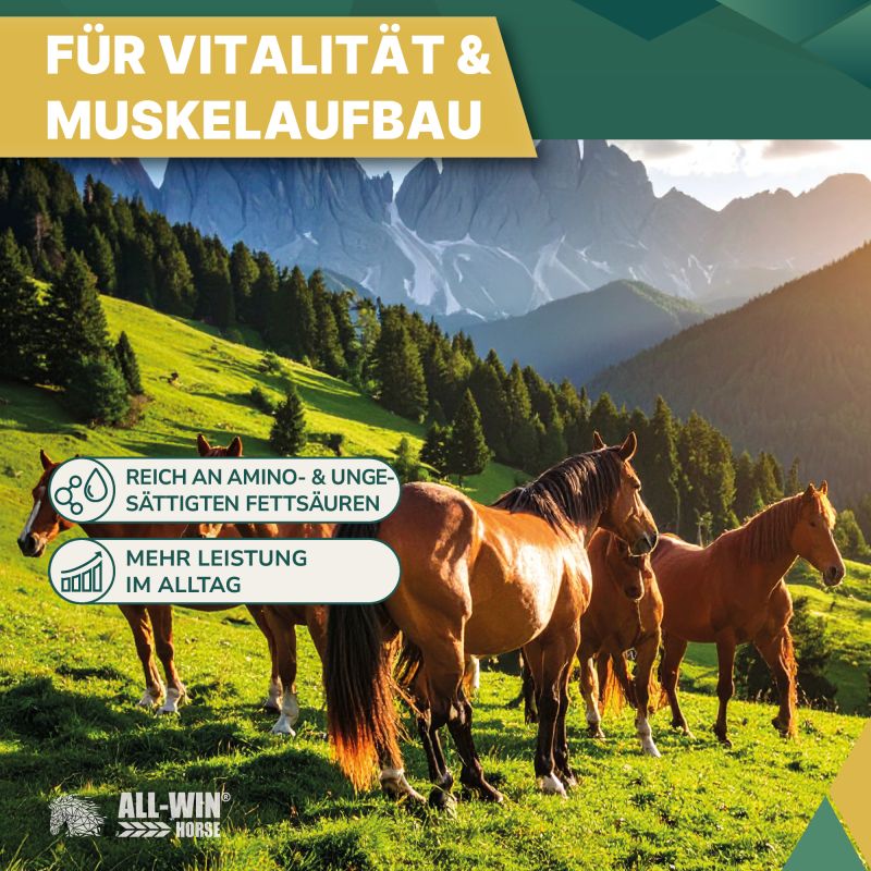 ALL-WIN Horse Mucosal Care 15kg Müsli, getreiderfrei, ohne Zuckerzusatz