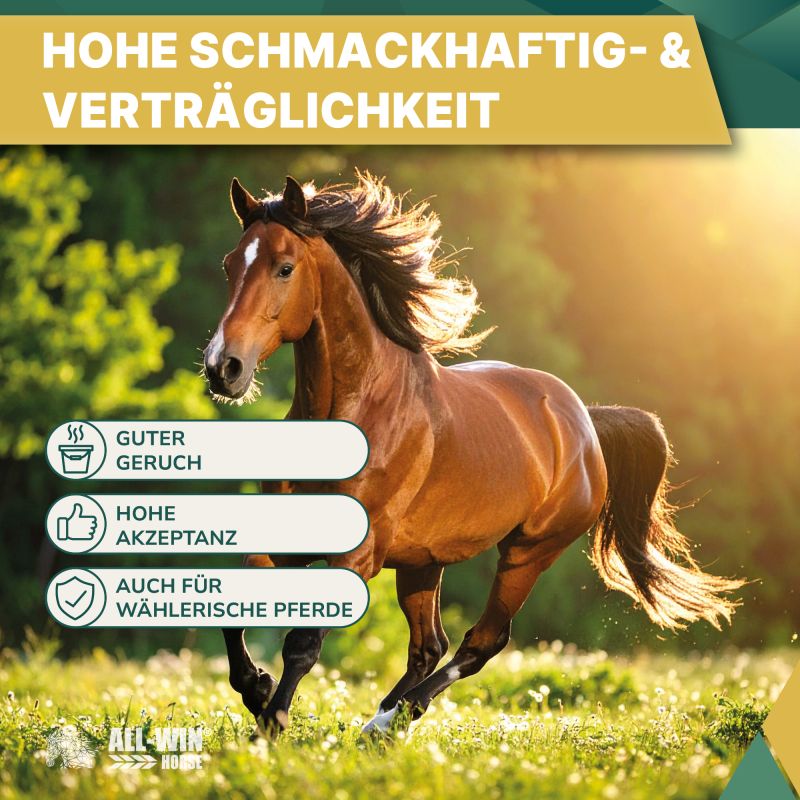 ALL-WIN Horse Mucosal Care 15kg Müsli, getreiderfrei, ohne Zuckerzusatz